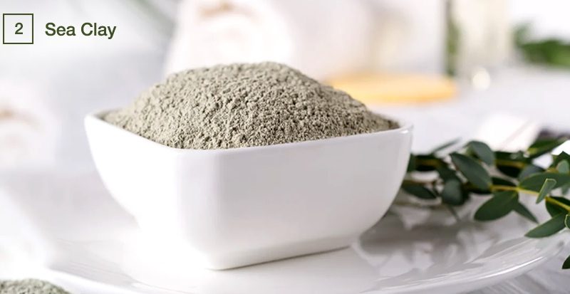 The Many Applications For Marine Ingredients Here In Thailand For 2025 & Beyond.